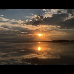 Meet your Posher, Reese